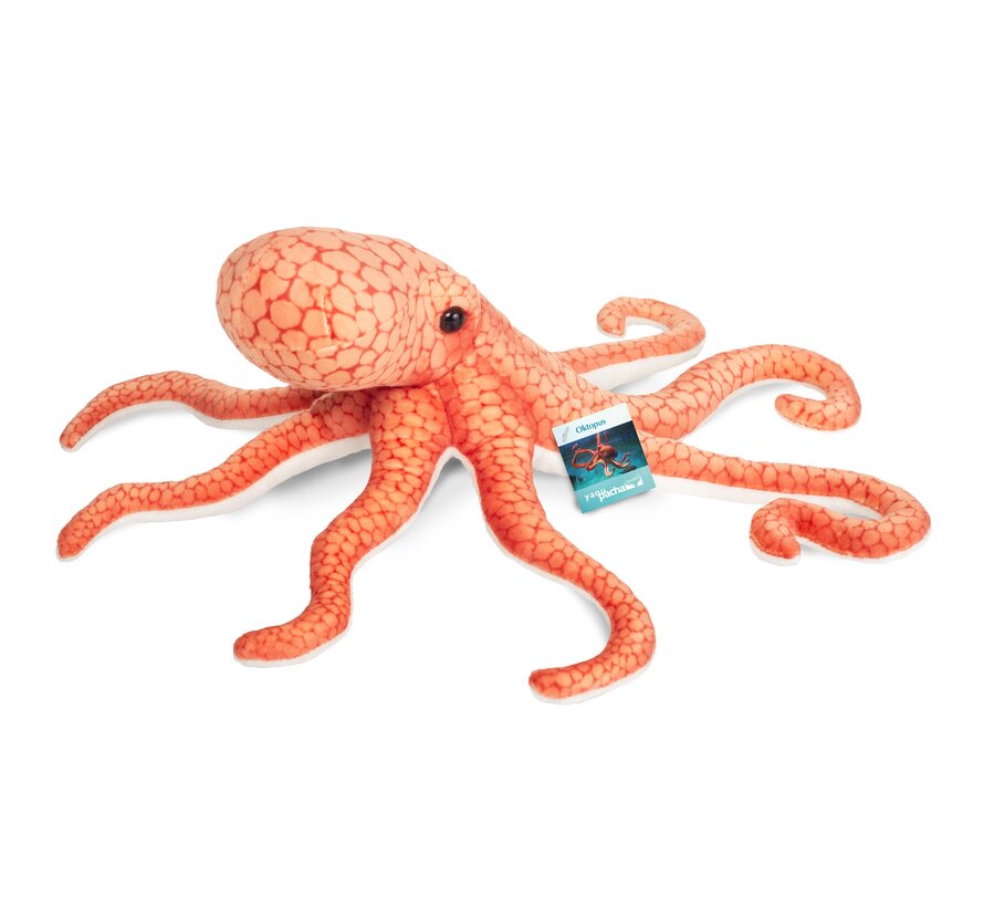 Knuffel Octopus 36 cm
