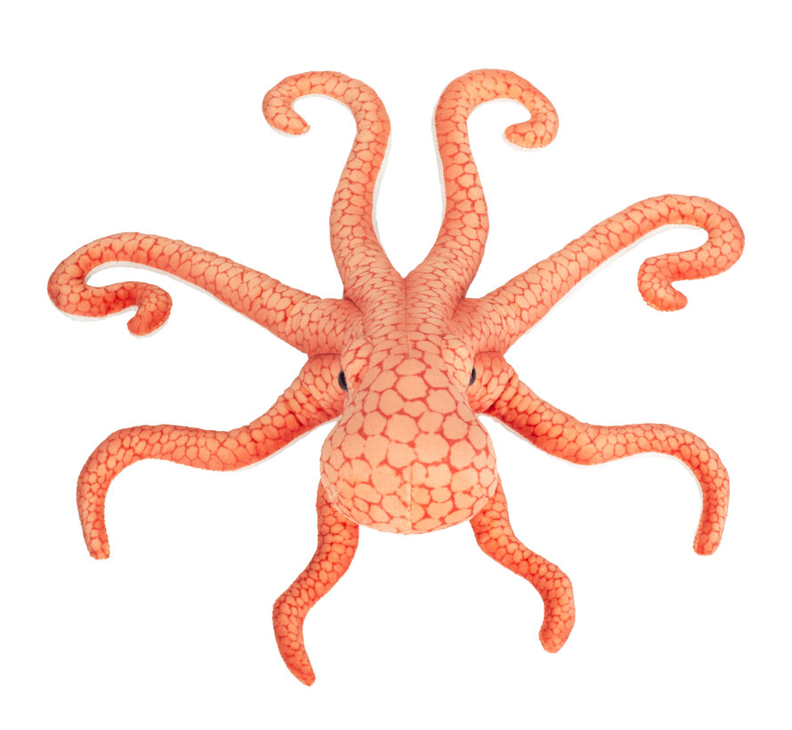 Knuffel Octopus 36 cm