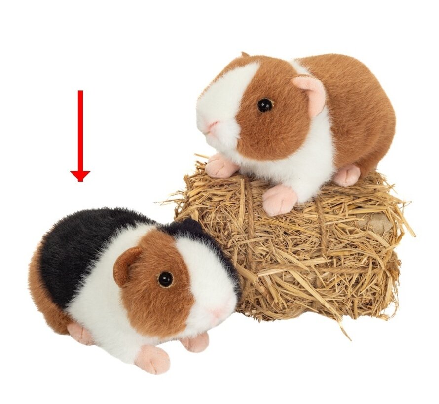 Knuffel Cavia 3-kleurig 19 cm