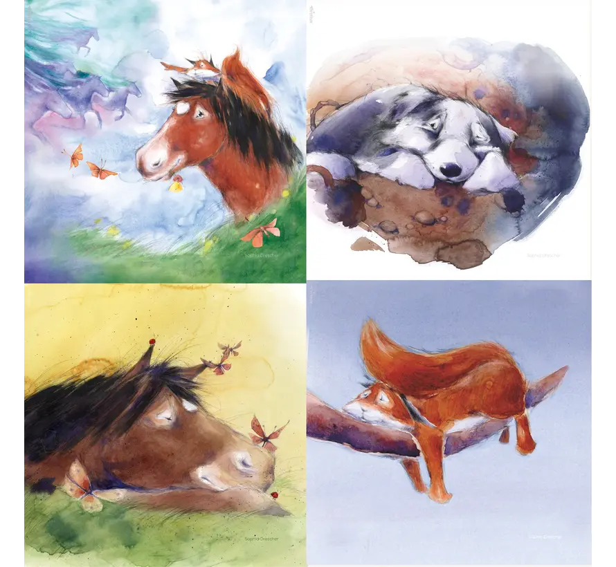 StoryLux Hrókur and the Sky Riders