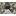 Eurogros Karpet Ace 6444