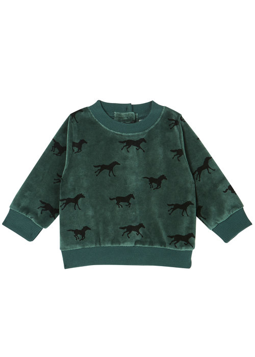 Emile et Ida EMILE ET IDA SWEATER  GROEN PAARDEN