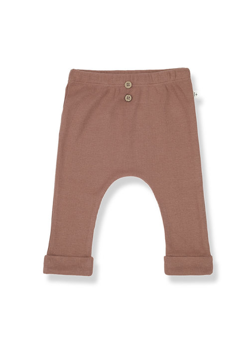 1+ IN THE FAMILY 1+ IN THE FAMILY MARTI LEGGINGS CEDAR | 18 M