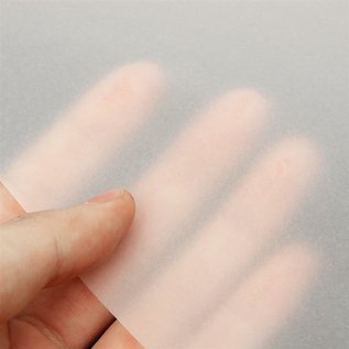 Studio Light Vellum/Perkament papier 10 vel