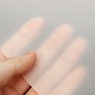 Studio Light Vellum/Perkament papier 10 vel
