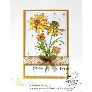 Joy!Crafts Clearstamp - Bloem zonnehoed - Echinacea A6