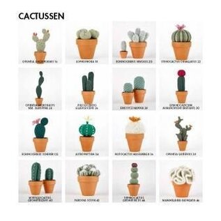 Forte Boek - Cactussen haken Sarah Abbondio