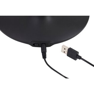 Daglicht Bureaulamp met accu