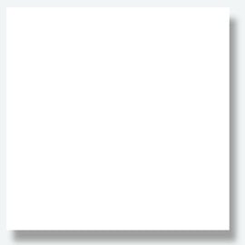 Florence Cardstock Papier Glad Wit 30,5x30,5cm