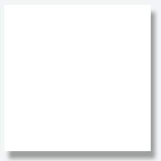 Florence Cardstock Papier Glad Wit 30,5x30,5cm 216g