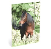 Amazone Elastomap A4  paard - schade!