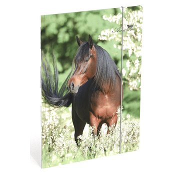 Amazone Elastomap A4  paard - schade!