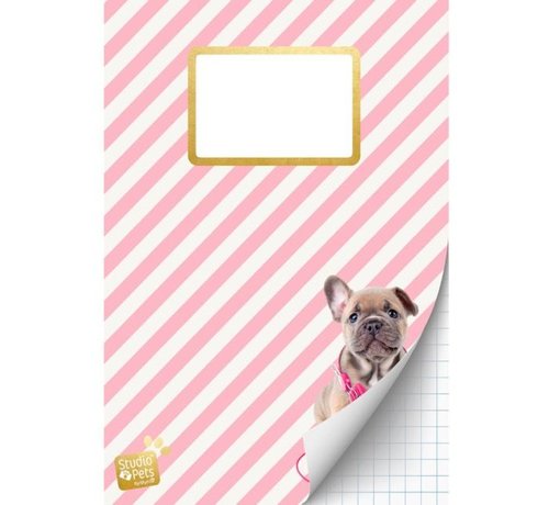 Studio Pets A4 schrift geruit