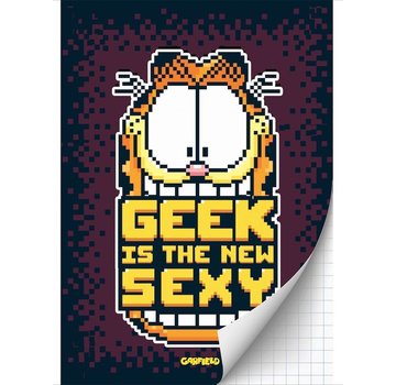 Garfield Boys A4 ruitjes schrift - geek