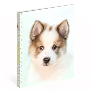 My Favourite friends Ringband 2r PP - hond