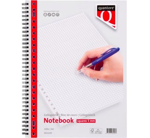 Quantore Collegeblok A4 - 5mm ruitjes