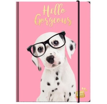 Studio Pets A4 Elastomap  - hond roze