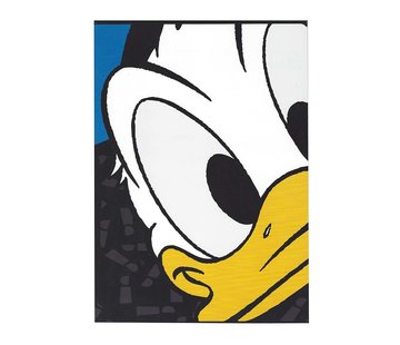 Donald Duck A4 ruitjes schrift - zwart