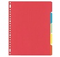 Tabbladen gekleurd karton - 5 delig