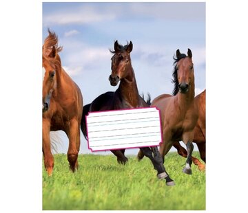 Kangaro Schoonschrijven 6-3-6 oefenschrift A5 paard