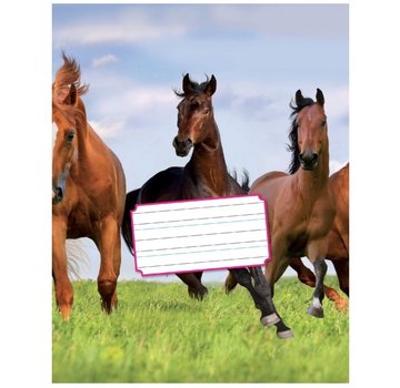 Kangaro Schoonschrijven 6-3-6 oefenschrift A5 paard