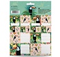 Toucan etiketten en stickers