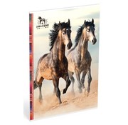 Amazone A4 ruitjes schrift - paarden strand