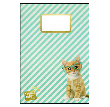 Studio Pets A4 lijntjes schrift - Ray Ben