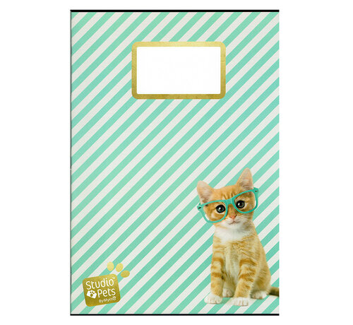 Studio Pets A4 schrift gelinieerd - Ray Ben