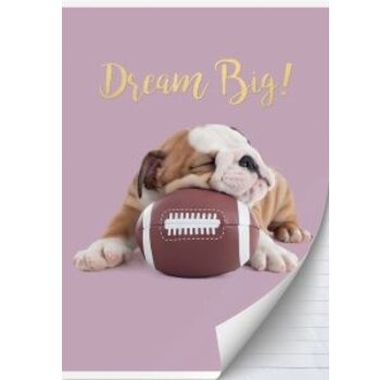 Studio Pets A4 lijntjes schrift Hond football
