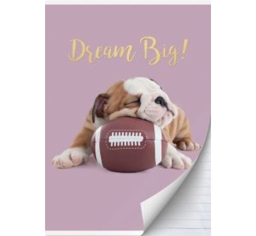 Studio Pets A4 schrift gelinieerd