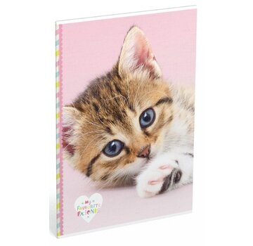 My Favourite friends A4 ruitje schrift - kat