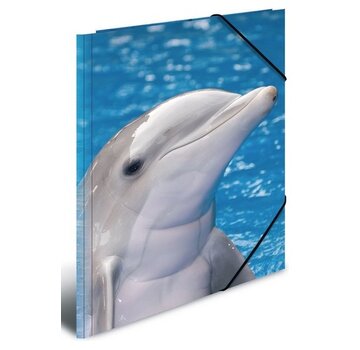 Elastomap A4  - Dolfijn