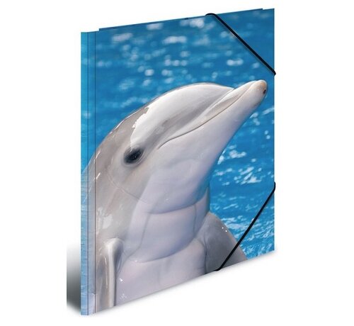Elastomap A4 - Dolfijn