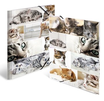 Herma Dieren Elastomap - A3 - Katten