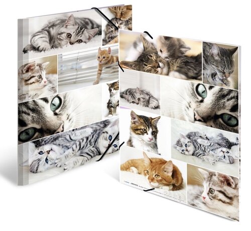 Herma Dieren Elastomap - A3 - Katten