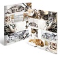 Dieren Elastomap - A3 - Katten