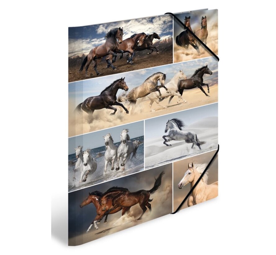 Dieren Elastomap - A3 - paarden
