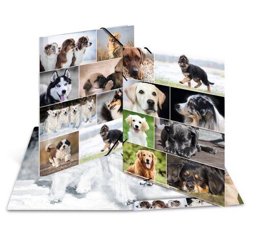 Herma Dieren Elastomap - A3 - Honden