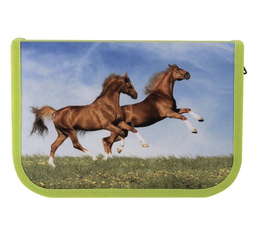 Etui vol met tekenpullen - paarden