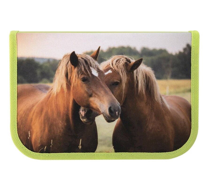 Etui vol met tekenpullen - paarden