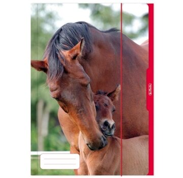 Dieren Elastomap - A3 - Paarden