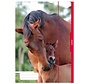 Dieren Elastomap - A3 - paarden