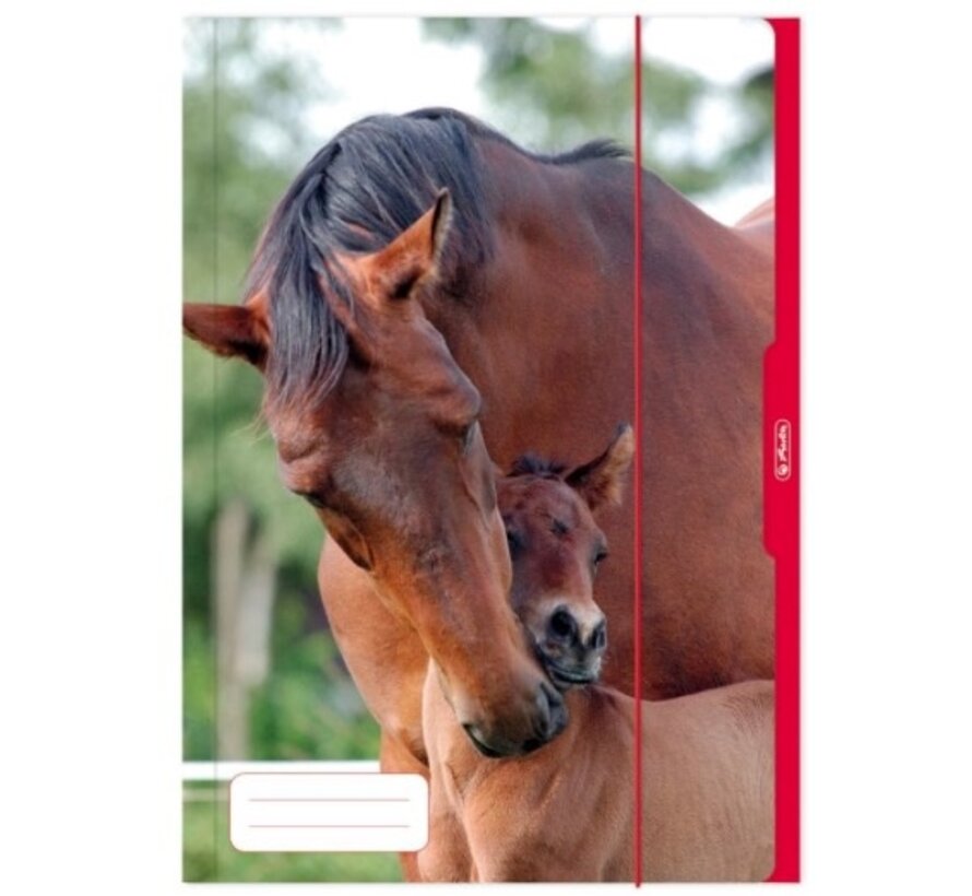Dieren Elastomap - A3 - paarden