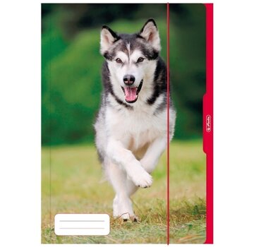 Dieren Elastomap - A3 - hond