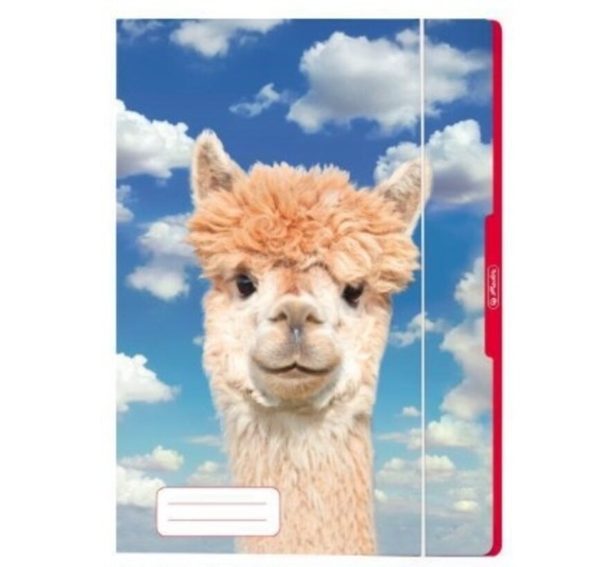 Alpaca elastomap A3 - front