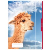 Elastomap A3  alpaca - zij
