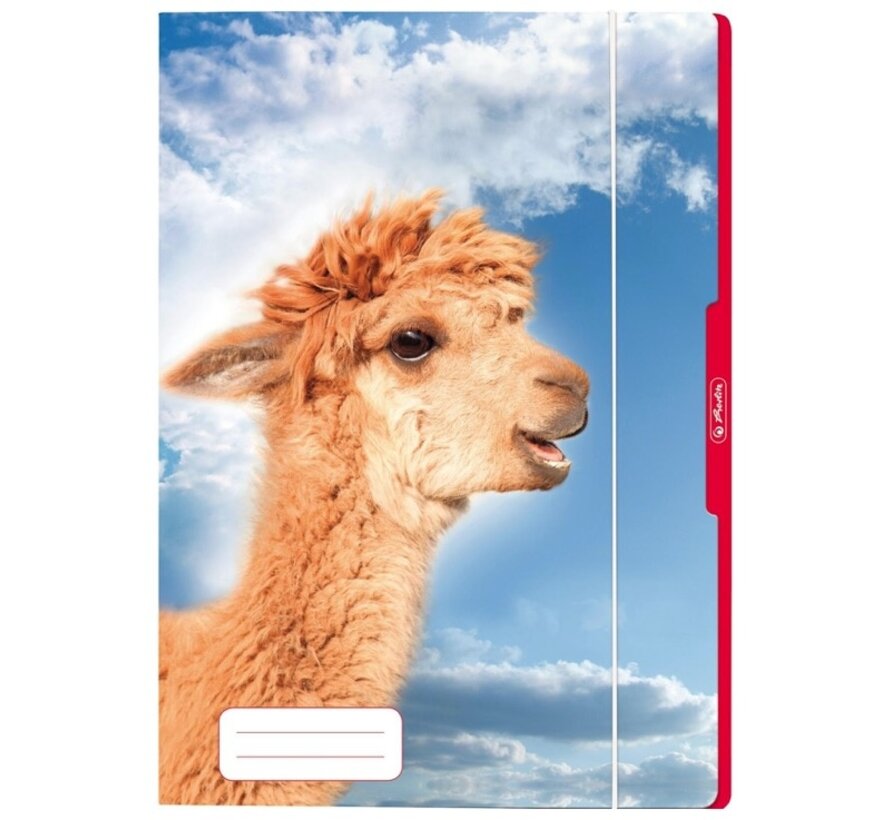 Alpaca elastomap A3