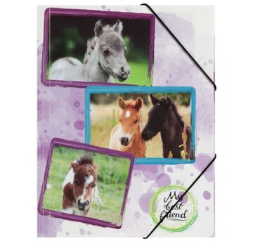 PP Elastomap - A3 - Paarden