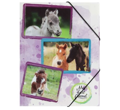 PP Elastomap - A3 - Paarden